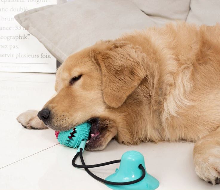 Dogtoy - Primal Zuig Interactief Touwtrek Speelgoed