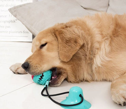 Dogtoy - Primal Zuig Interactief Touwtrek Speelgoed