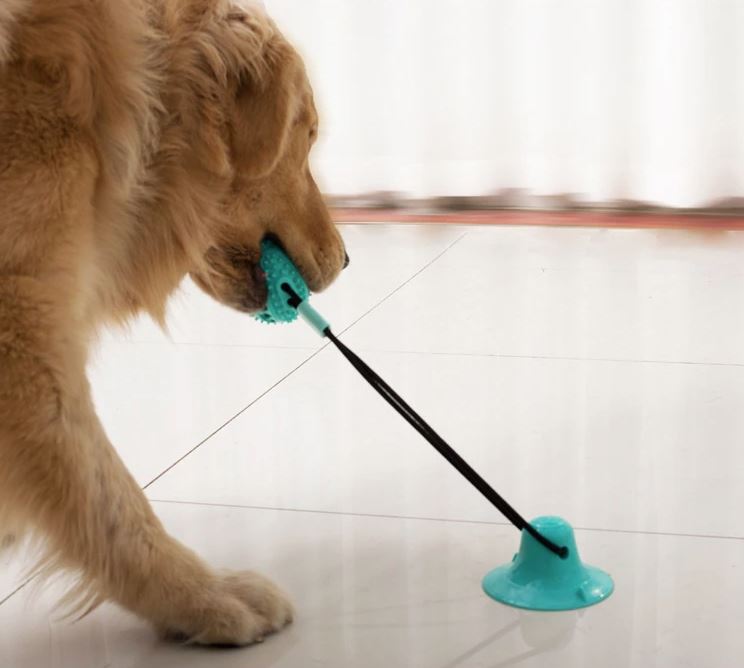 Dogtoy - Primal Zuig Interactief Touwtrek Speelgoed