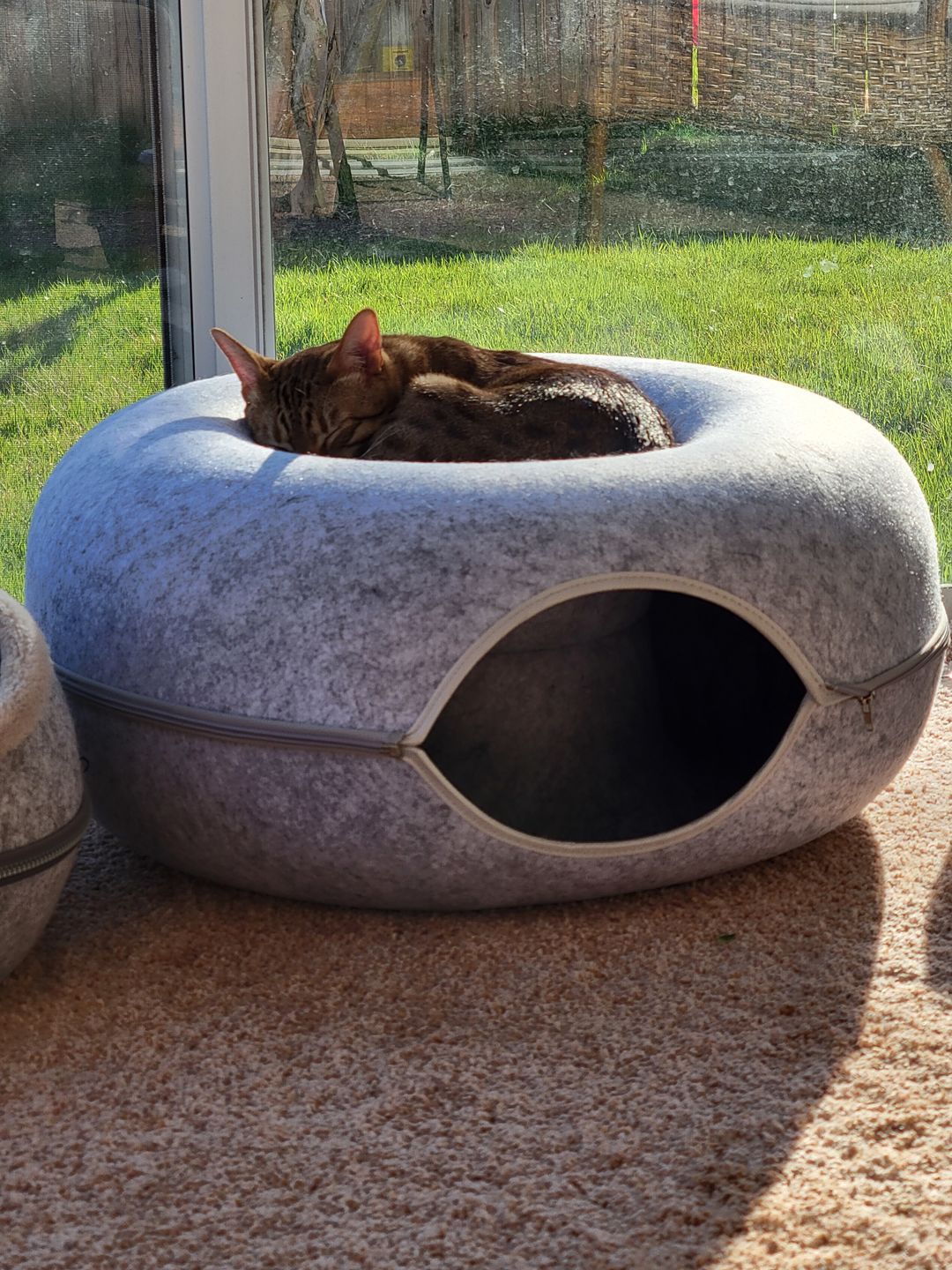 Cat Hotel - Kattentunnel Bed