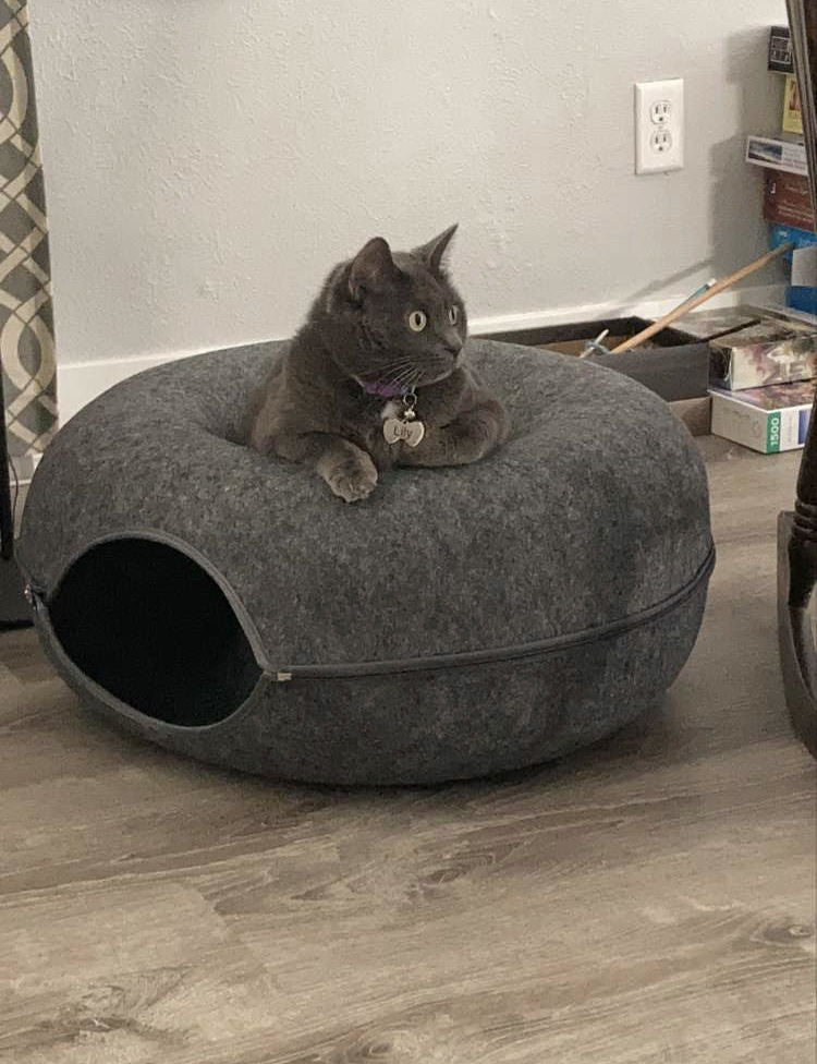 Cat Hotel - Kattentunnel Bed