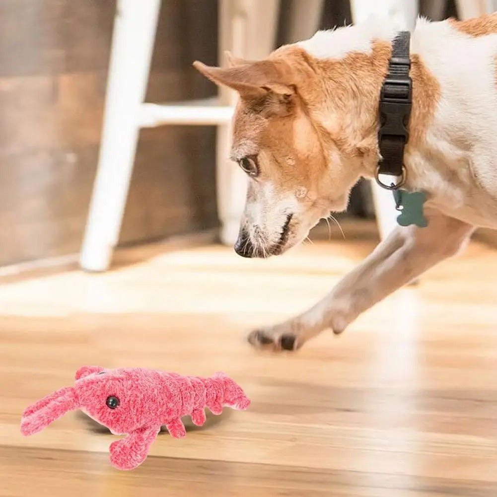 DogCat PlushToy - Interactief Pluchen Speelgoed Voor Huisdieren