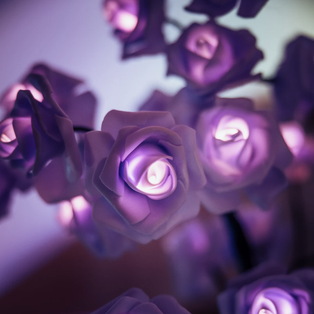 Rose - Voor Altijd Boom Lamp