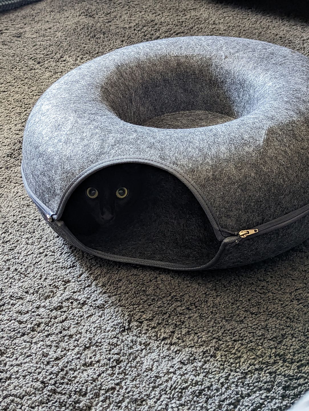 Cat Hotel - Kattentunnel Bed